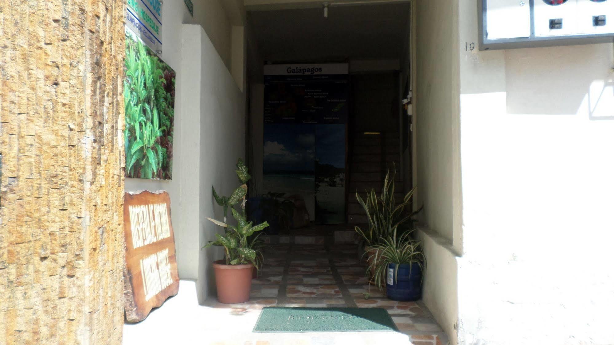 Hostal Miconia Puerto Ayora  Exterior photo
